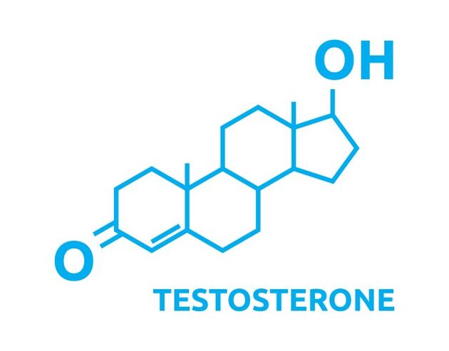 Augmentation de la testostérone après utilisation zxcvbnqwert