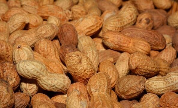 Arachis pour potenza