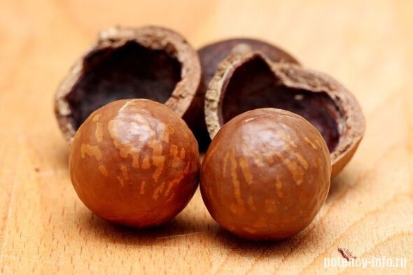 Macadamia pour potenza